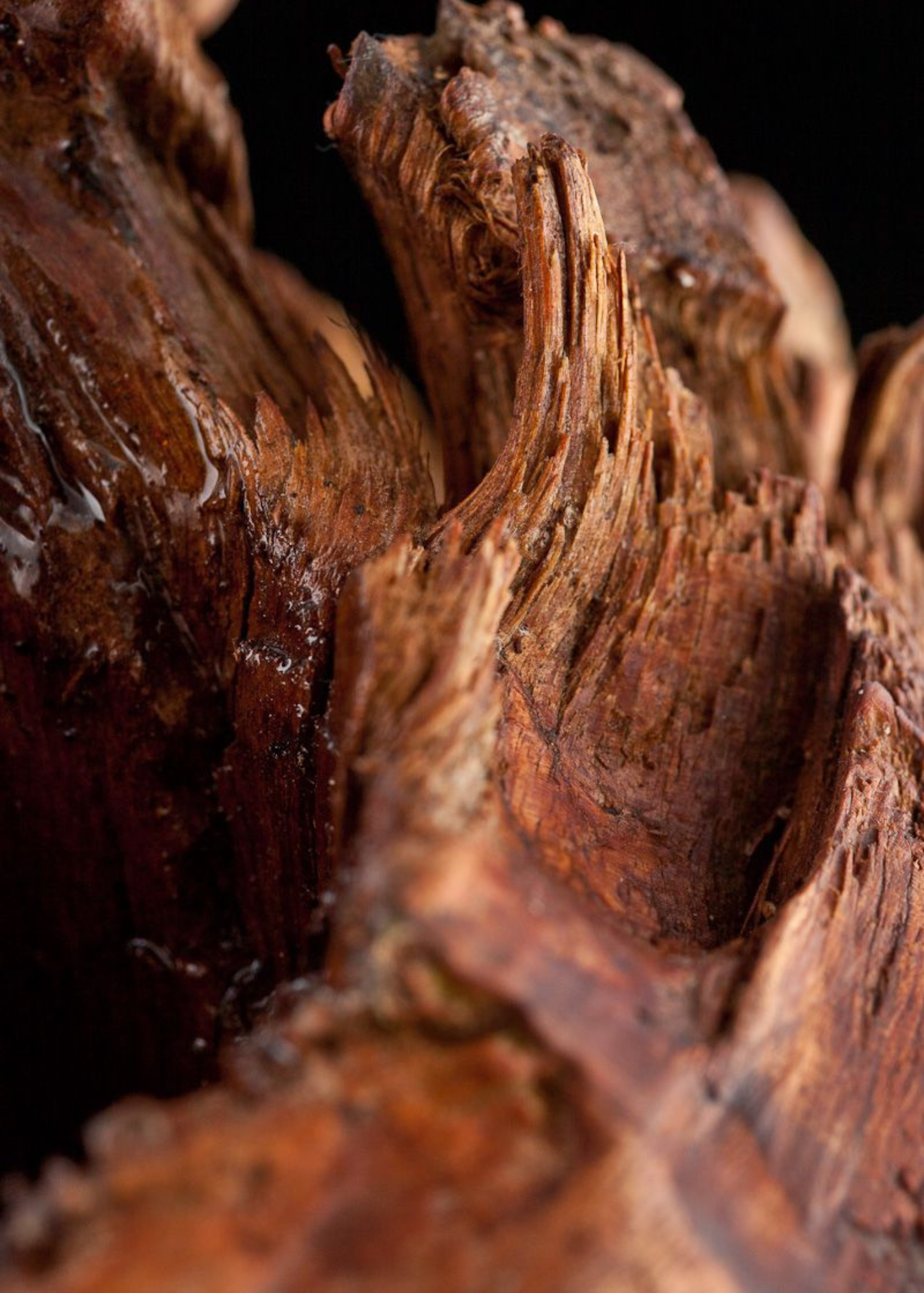 Classic Cluub Candle in Oud Wood