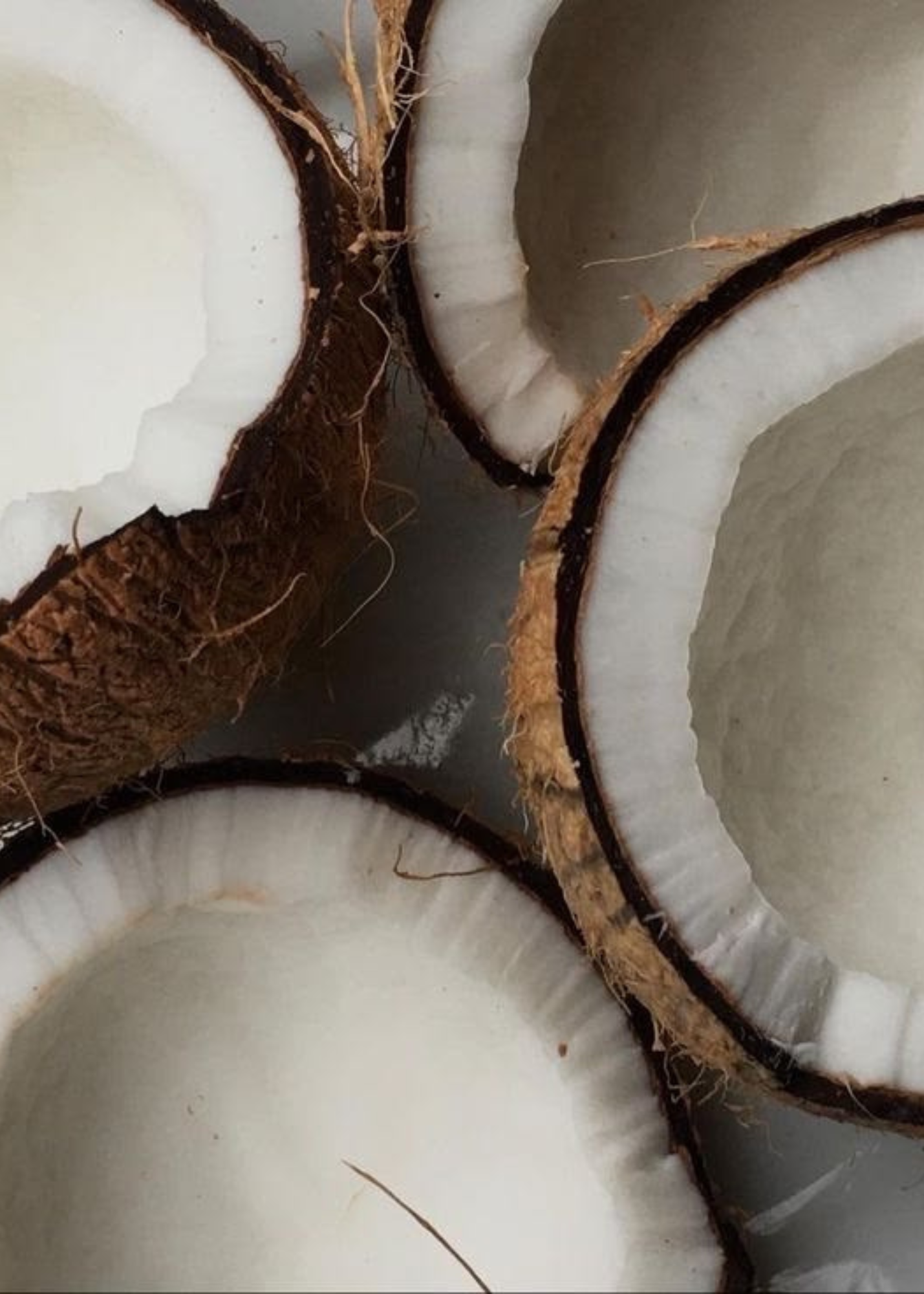 Classic Cluub Candle in Creamy Coconut