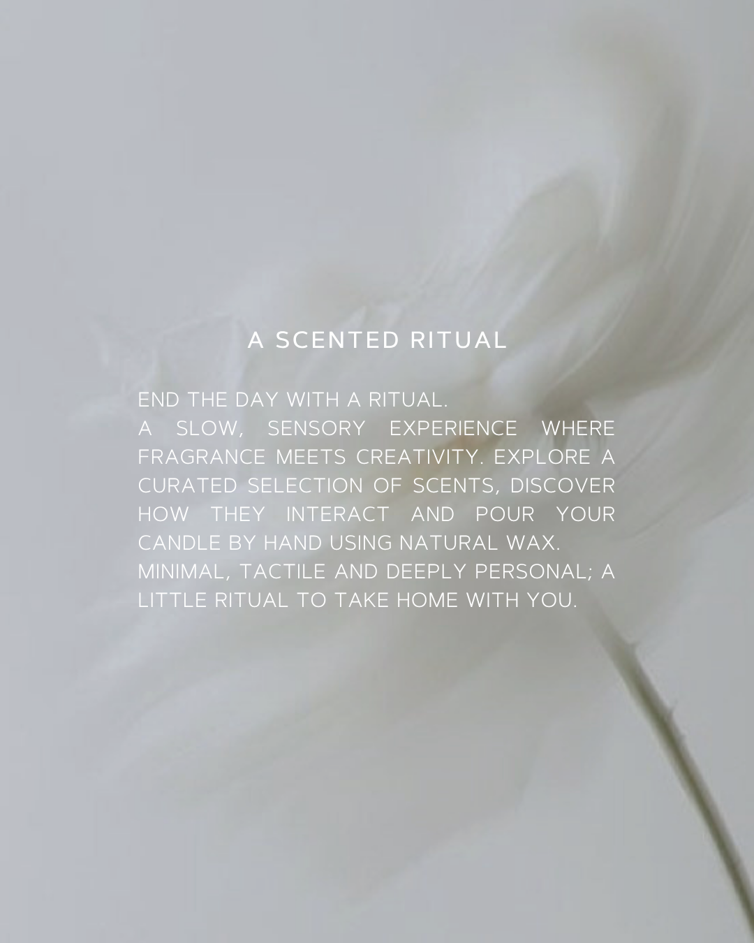 A Scented Experience